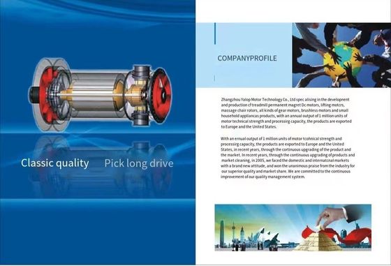 Magnéte permanent 12v 60w 60rpm 6n.m Boîte de vitesses électrique Moteur CC pour vélo électrique