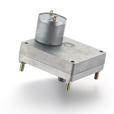 28 mm 24v 7,73W moteur à engrenages en argent moteur à brosses à couple élevé moteur CC pour personnalisation