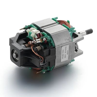 110V/220V 50/60Hz AC Motor Blender Professionnel Moteur de tapis roulant de 76 mm avec roulement à billes
