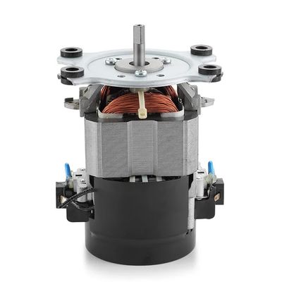 IE 1 Efficacité 110 V 220 V moteur à courant alternatif sur tapis roulant 50/60 Hz moteur à courant alternatif monophasique