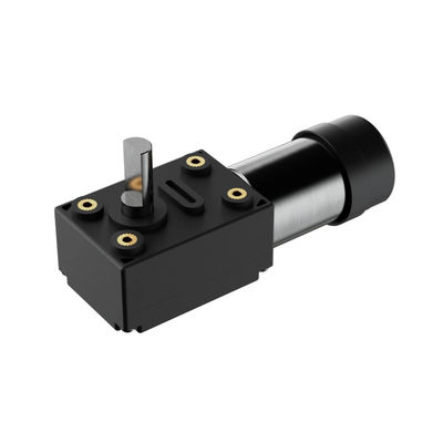 Moteur électrique à courant continu 1 kg Outils de jardinage avec coque en plastique de 12 V Moteur BLDC