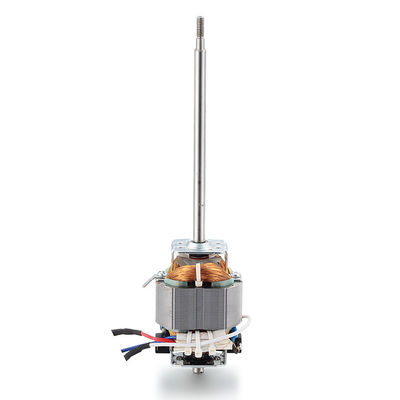 Moteur électrique à courant alternatif à couple élevé 110v 220v 100w 200w 300w pour tapis roulant 10000 tr/min