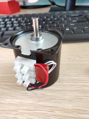 1 kg Capacité de charge 220V CW CCW AC Moteur à engrenages synchrones avec puissance de sortie 804w
