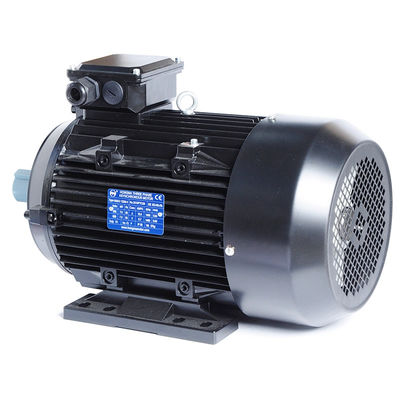 Isolement moteur à induction 3 phases classe F 2kg pour pompe à eau de machine à laver populaire