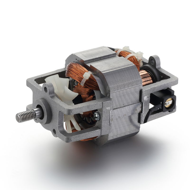 Efficacité IE 1 76mm 110w 180w 12000rpm 220v moteur électrique AC pour tapis roulant universel